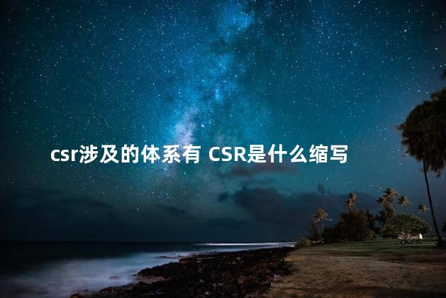 csr涉及的体系有 CSR是什么缩写